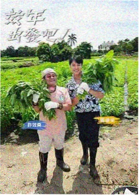 脱口秀综艺